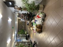 2022.12.15 appd (14).jpg