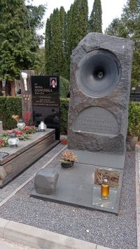 kosmos, historia i sztuka.. (4).jpg