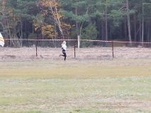 Wojewódzki Finał Igrzysk Młodzieży Szkolnej (6).jpg