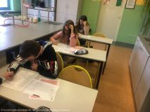 Pingwin (6).jpg