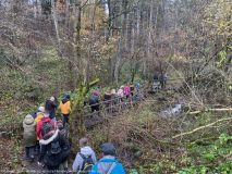 Roztocze 2019 (4).jpg