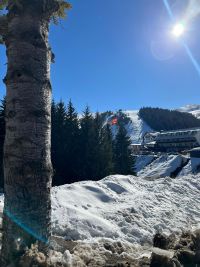 2022.03.24 tetovo (32).jpeg