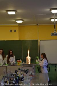 zdjecie (20).jpg