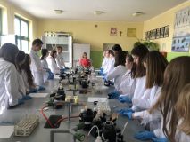 2022.04.04 zajęcia laboratoryjne - sp 3 (1).jpg