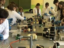 2022.04.04 zajęcia laboratoryjne - sp 3 (11).jpg