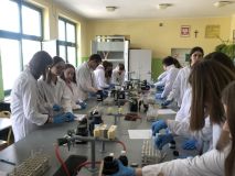 2022.04.04 zajęcia laboratoryjne - sp 3 (21).jpg