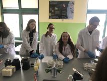 2022.04.04 zajęcia laboratoryjne - sp 3 (22).jpg
