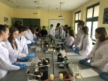 2022.04.04 zajęcia laboratoryjne - sp 3 (3).jpg