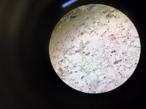 uksw, pan 2022 (39).jpg