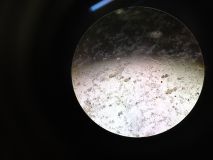 uksw, pan 2022 (40).jpg
