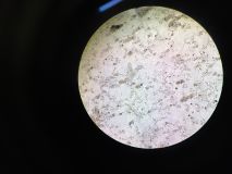 uksw, pan 2022 (41).jpg