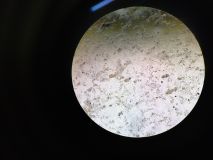 uksw, pan 2022 (42).jpg