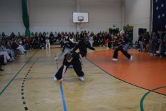 43.jpg